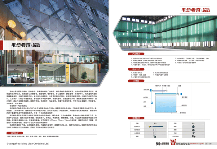 电动小蝌蚪下载污APP图