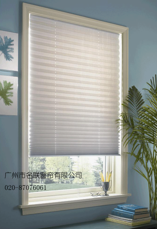 电动小蝌蚪下载污APP 850元每套