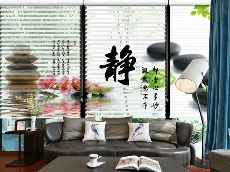 小蝌蚪视频成人网站