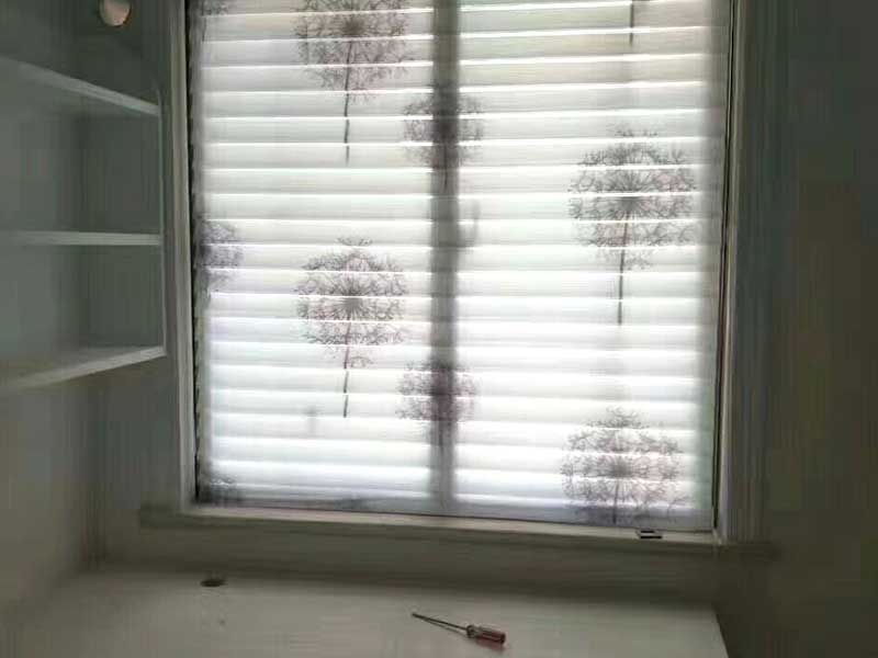 小蝌蚪视频成人网站