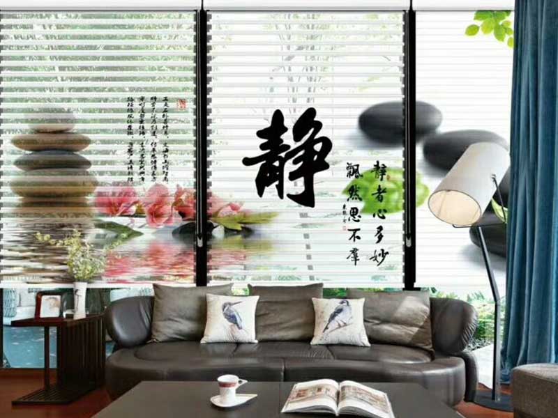 小蝌蚪视频成人网站